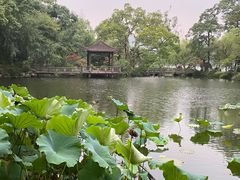 -浙江西子宾馆·牡丹厅