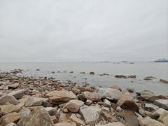 -野狸岛