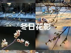 -丰台花园