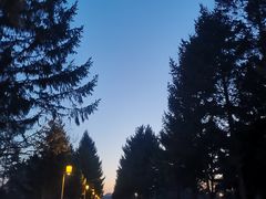 -长春市南湖公园