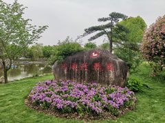 -鹅湖玫瑰文化园