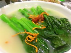 -石岐乳鸽村(南海第三分店)