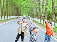 -黄海国家森林公园