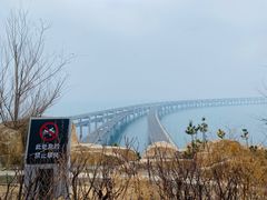 -星海湾跨海大桥