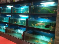水产区-大鸽饭(马王堆店)