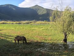 -泸沽湖国家级风景名胜区走婚桥