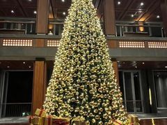 -日落吧·海景咖啡厅·餐酒吧·鸡尾酒·下午茶·乐队表演·浪漫夕阳·三亚文华东方酒店
