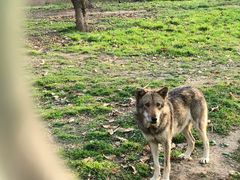 -西安秦岭野生动物园