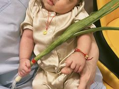 -优护佳月嫂育儿嫂中心(静安店)