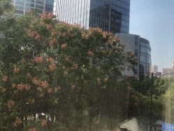 -上海首尔丽格医疗美容医院