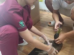 -瑞派·关忠动物医院·异宠专科·犬猫肿瘤·皮肤专科(望京店)