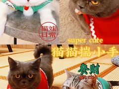 -泰国佛·塔罗·泰牌狐仙古曼