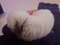 -Pink You美甲美睫纹绣定制中心