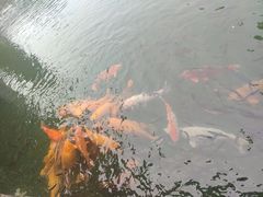 -乌记大厨餐厅