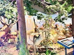 -陕西自然博物馆