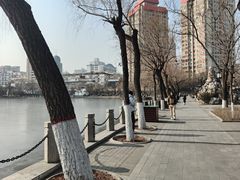 -文瀛公园