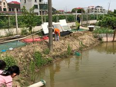 -南汇老顾农家乐采摘大团水蜜桃采摘店