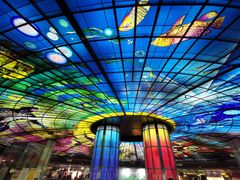 -50岚(建国二店)