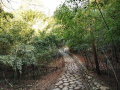 -南京市无想山景区