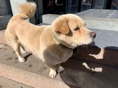 -曾福兴