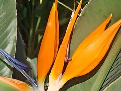 -国家植物园南园