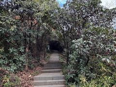 -杭州半山国家森林公园