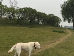 -两河城市森林公园