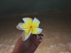 -三亚亚龙湾万豪度假酒店
