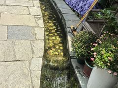 -安顺旧州古镇