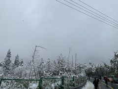 -湖州龙王山景区
