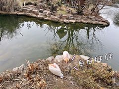 -红山森林动物园