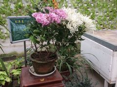 -祥源·阜阳生态乐园