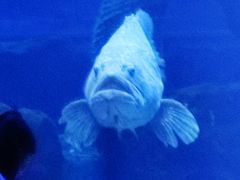 -多彩贵州城极地海洋世界