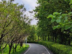 -广东花都湖国家湿地公园