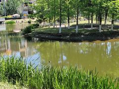 -长白岛森林公园