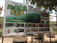 -李小龙乐园(顺德均安店)