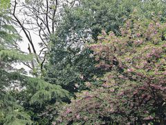 -上海大自然野生昆虫馆(东方明珠·爬宠昆虫探索中心)
