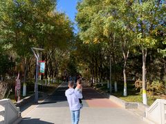 -大兴滨河森林公园