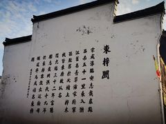 -东梓关景区村庄