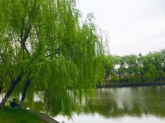 -良渚文化村