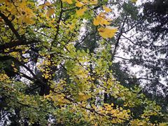 -白马涧龙池景区