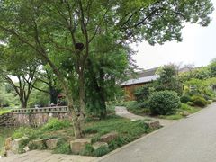 -无锡梅园公园