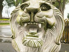 -上海多利农业发展有限公司