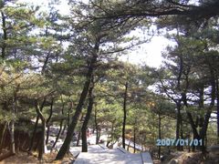 -沂蒙山旅游区云蒙景区(蒙山国家森林公园)