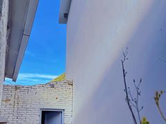 -秦岭风景区