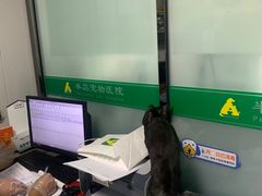 -半岛宠物医院24小时(科华中路店)