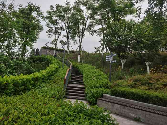 金山公园-"紧邻着金山小学的这座金山公园,依着地势的.