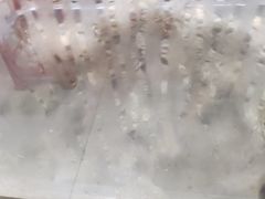 -富记鱼蛋粉(西村店)