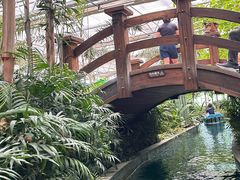 -南宫五洲植物乐园