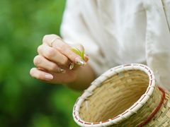-深圳东部华侨城茵特拉根酒店
